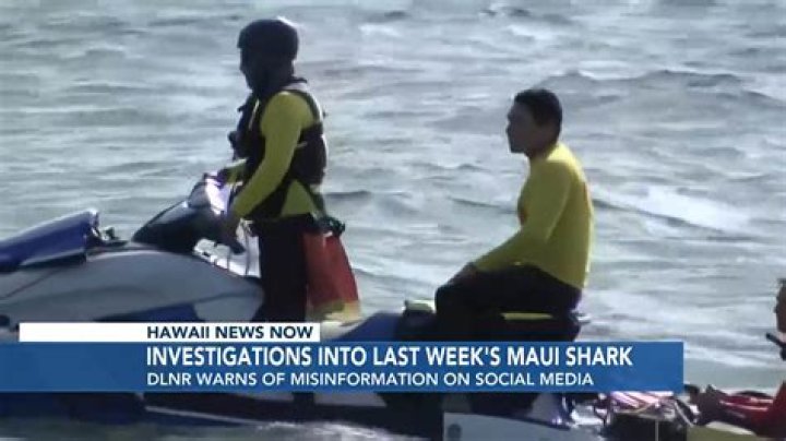 Jana Lutteropp, 20, Dead After Shark Attack In Hawaii