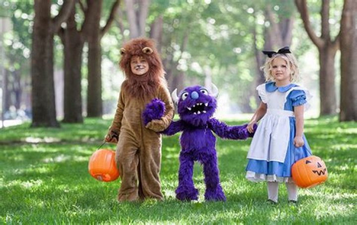 Most Popular Halloween Costumes 2017 — PICS